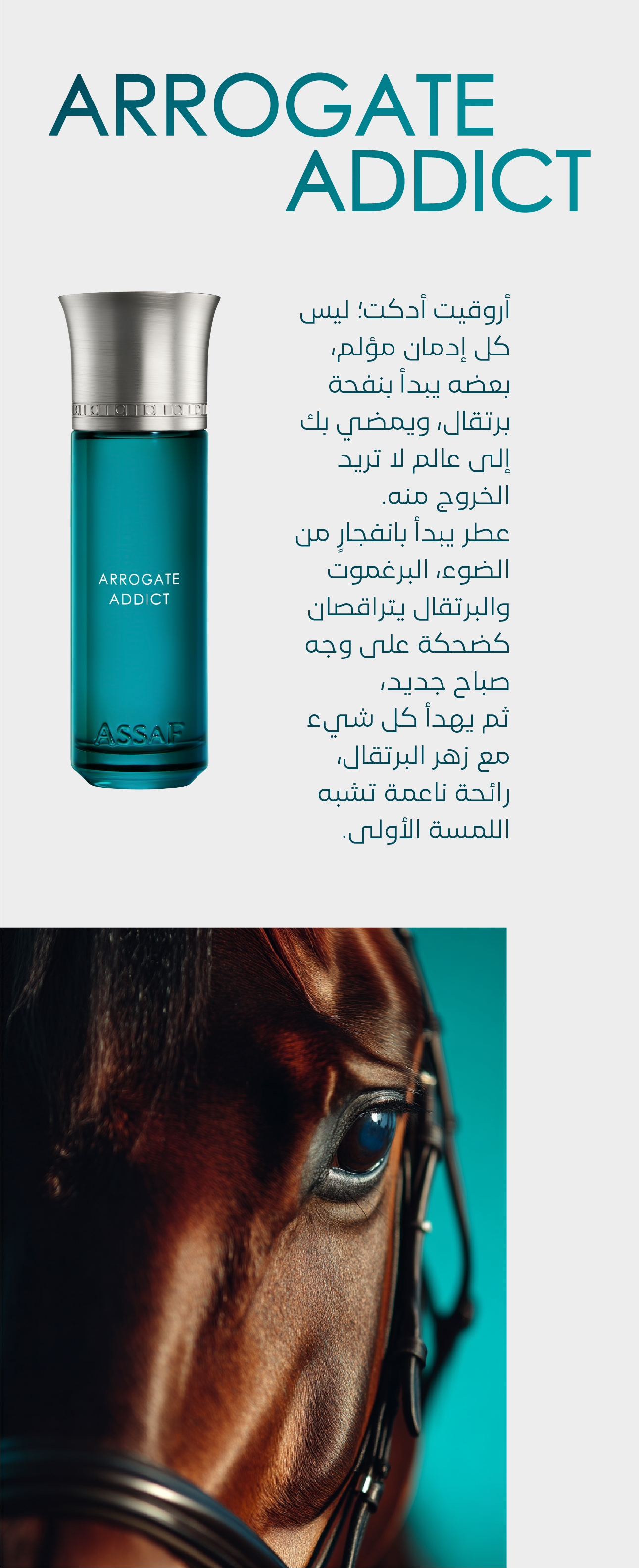ASSAF ARROGATE ADDICT 200ML