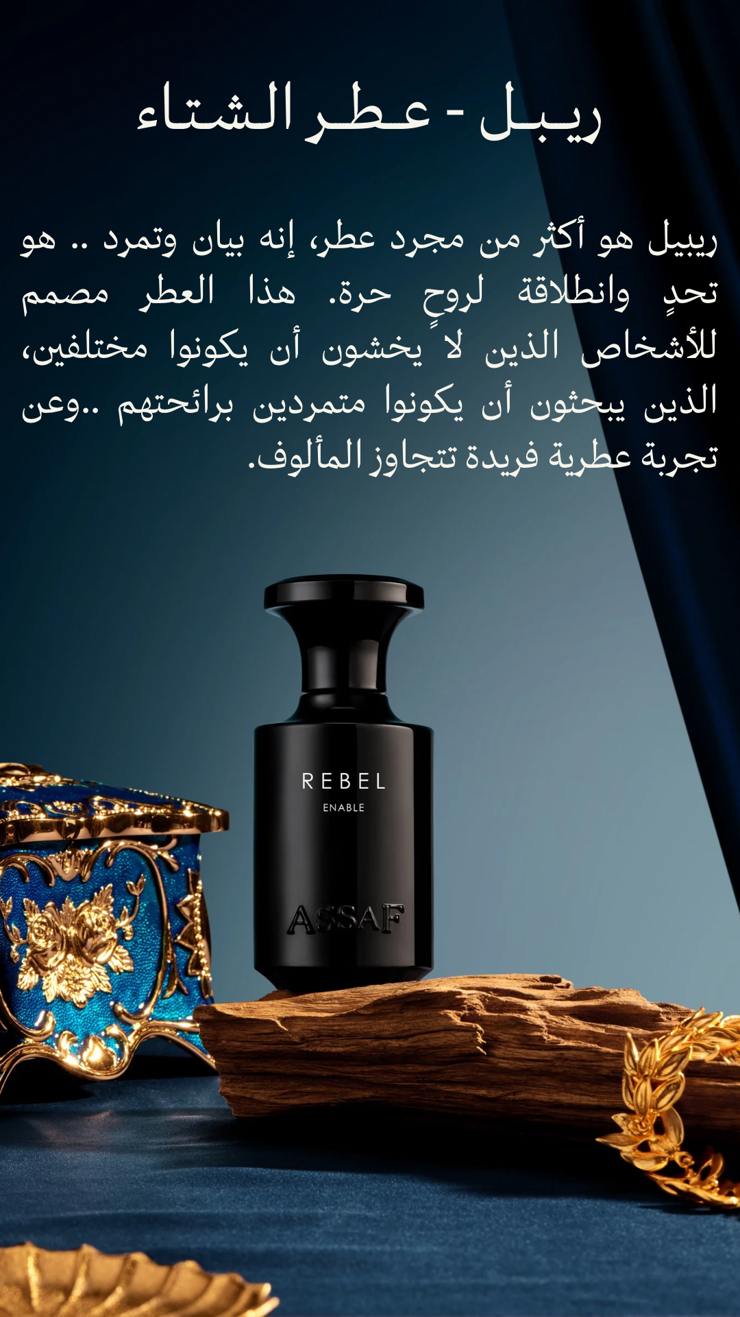 ASSAF REBEL ENABLE 100 ML